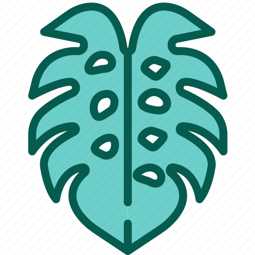 Monstera, leaf, nature, tropical, farming, gardening, exotic icon - Download on Iconfinder