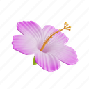 hibiscus, flower, nature, floral, tropical, blossom, plant, leaf, summer 