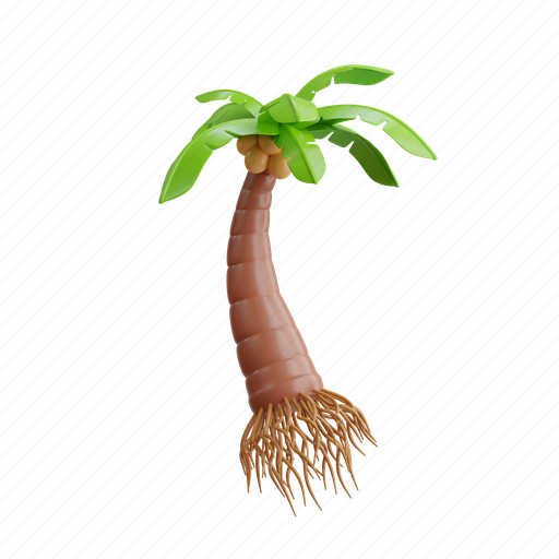 Coconut, fresh, fruit, tropical, nut, coco, half 3D illustration - Download on Iconfinder