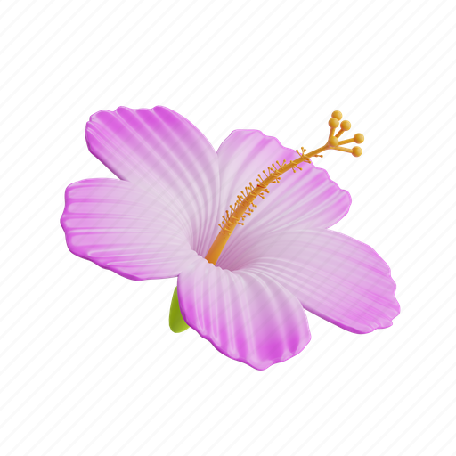 Hibiscus, flower, nature, floral, tropical, blossom, plant 3D illustration - Download on Iconfinder