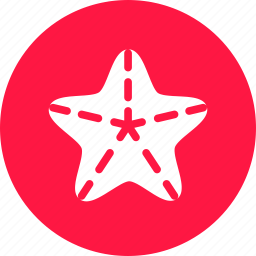 Beach, sea, star, star fish, starfish icon - Download on Iconfinder