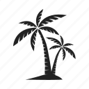 palm, sammer, tree