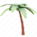 coconut tree, summer, holiday, beach 