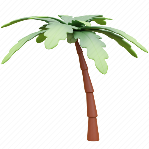 Coconut tree, summer, holiday, beach 3D illustration - Download on Iconfinder