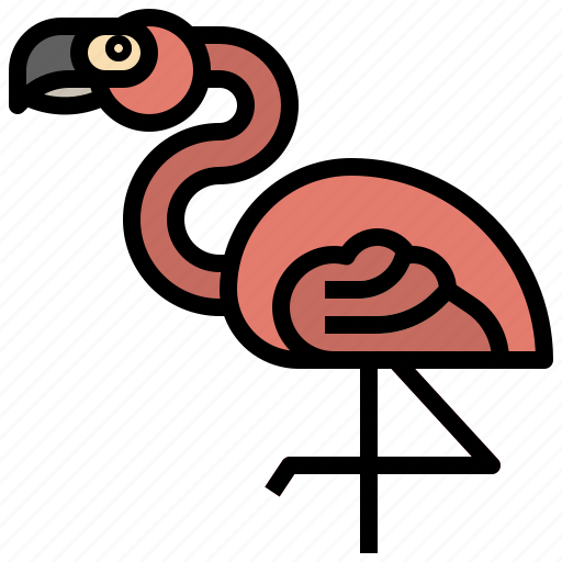Animal, bird, flamingo, flamingos, kingdom, wildlife, zoo icon - Download on Iconfinder