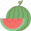 food, fruit, healthy, season, summer, watermelon
