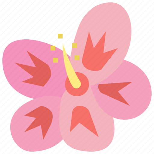Floral, flower, hibiscus, nature, season, summer, tropical icon - Download on Iconfinder