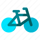 bicycle, bike, renting, sports, summer 