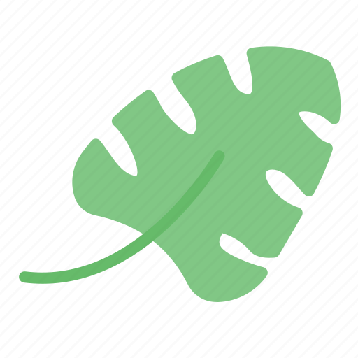 Monstera, summer, weather, nature, holiday, culture icon - Download on Iconfinder