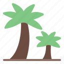 palm tree, summer, weather, nature, holiday, culture