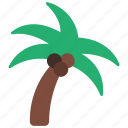 coconut, tree, palm, coconuts