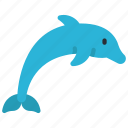 dolphin, animal, mammal, ocean, fish