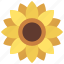 sunflower, flowers, sun, gardening, garden 