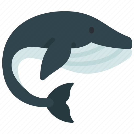 Whale, creature, mammal, ocean, life icon - Download on Iconfinder