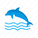 dolphin, fish, marine, ocean, swim, water, whale
