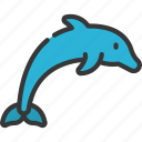 dolphin, animal, mammal, ocean, fish