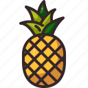 pineapple, fruit, food, fruits, healthy, pineapples, viburnum, natural, foods