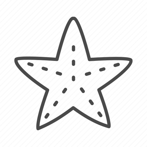 Beach, line, ocean, outline, sea, sea star, star icon - Download on Iconfinder