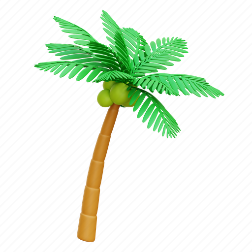 Palm tree, coconut tree, tropical, islands, coconut 3D illustration - Download on Iconfinder