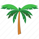 beach, coconut tree, tree, wave