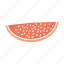watermelon, fruit, slice, summer, fresh fruit 