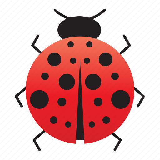 Bug, garden, insect, ladybug, nature, spring, summer icon - Download on Iconfinder