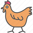 animal, bistro, chicken, food, poultry, restaurant