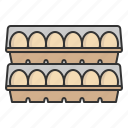 egg, eggs, dozen, package, fresh, food, supermarket, market, grocery