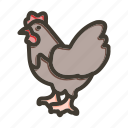 chicken, animal, bird, farming, hen