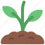 plant, growth, grow, natural, organic 