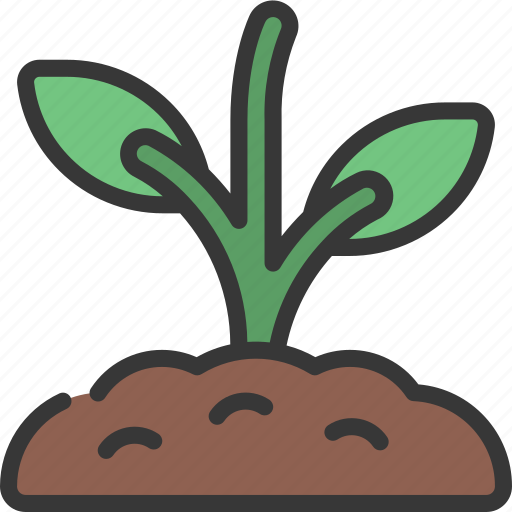Plant, growth, grow, natural, organic icon - Download on Iconfinder