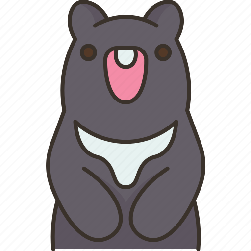 Bear, animal, wildlife, forest, taiwan icon - Download on Iconfinder