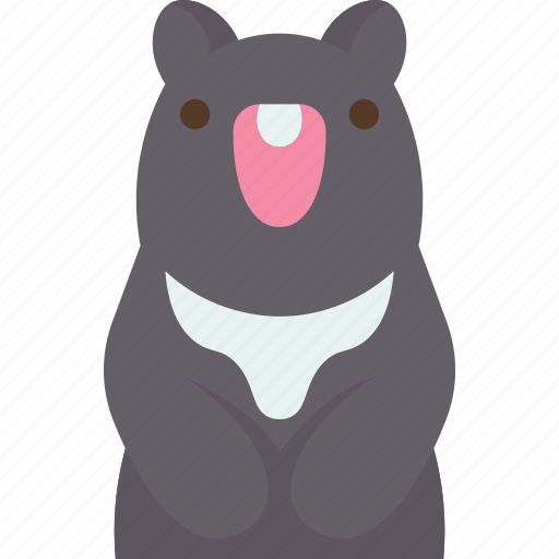 Bear, animal, wildlife, forest, taiwan icon - Download on Iconfinder