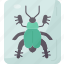 beetle, insect, arthropod, specimen, collection 