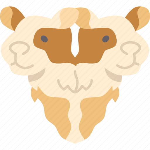 Calf, heads, bicephalic, face, stuffed icon - Download on Iconfinder