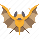bat, wing, flying, mammal, animal
