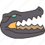 alligator, head, crocodile, skull, taxidermy 