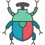 beetle, rainbow, insect, arthropod, animal 
