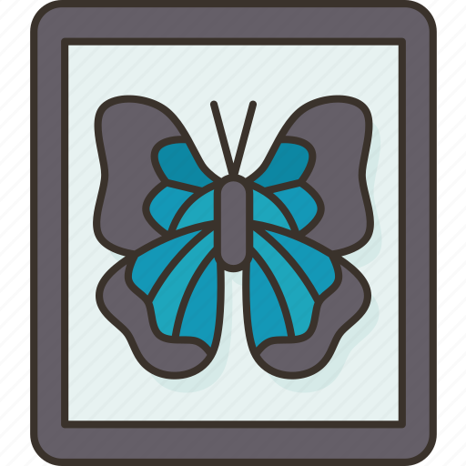 Butterfly, taxidermy, entomology, insect, nature icon - Download on Iconfinder