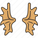 elk, horn, moose, antlers, stag
