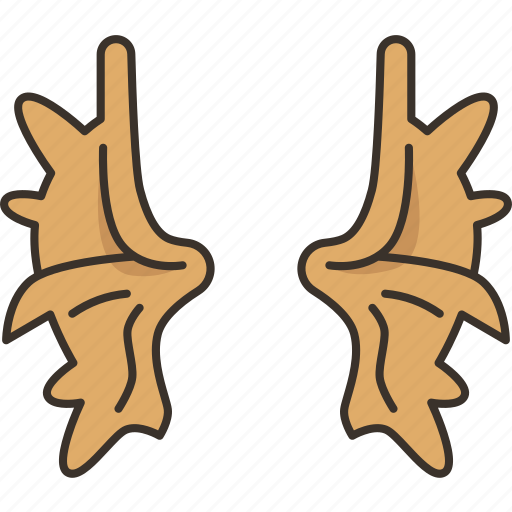 Elk, horn, moose, antlers, stag icon - Download on Iconfinder