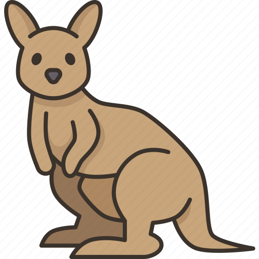 Kangaroo, marsupial, mammal, wildlife, animal icon - Download on Iconfinder