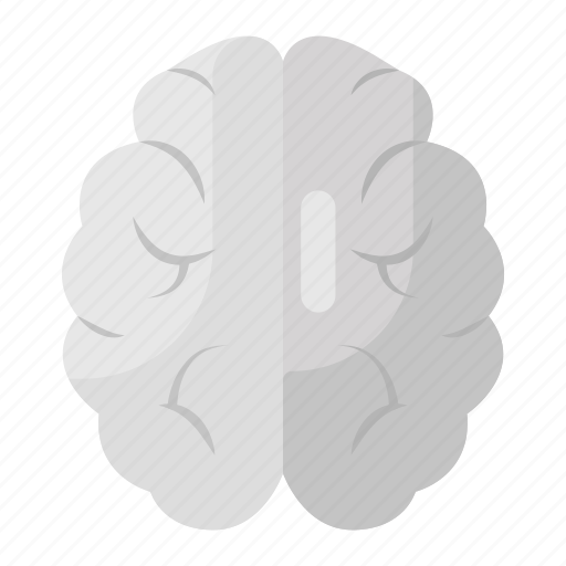 Brain, human anatomy, human brain, intelligence, mindset icon - Download on Iconfinder