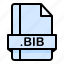 bib, file, file extension, file format, file type 