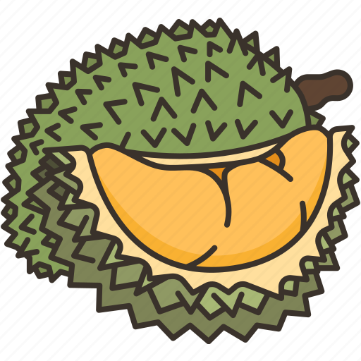 Durian, fruit, tropical, sweet, delicious icon - Download on Iconfinder