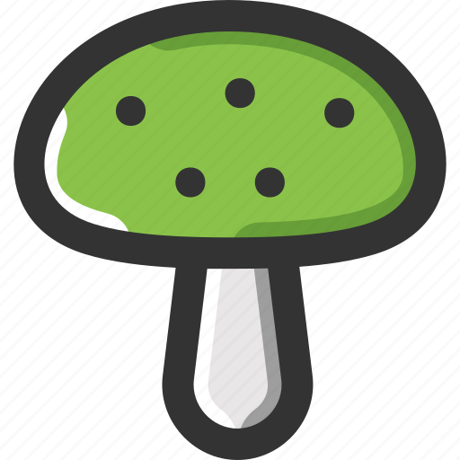 Amanita, food ingredient, mushroom, mushroomfood, orange icon - Download on Iconfinder