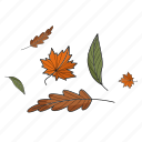 autumn, leaves, nature, plants, leaf, plant, garden, flower