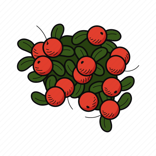 Cranberries, berry, healthy, berries, sweet, fresh, food icon - Download on Iconfinder