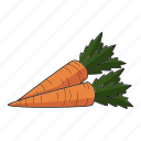 carrot, cooking, healthy, kitchen, vegetable, food, diet, organic, vegetables