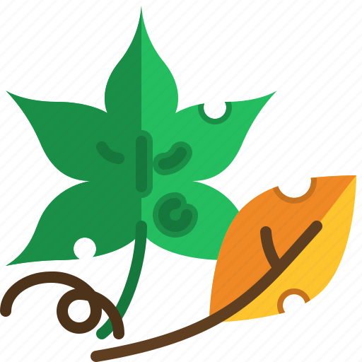 Maple, leaf, botanical, autumn, season, nature icon - Download on Iconfinder